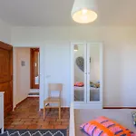 Casa Felicita 8 By Marche ヴィラ *